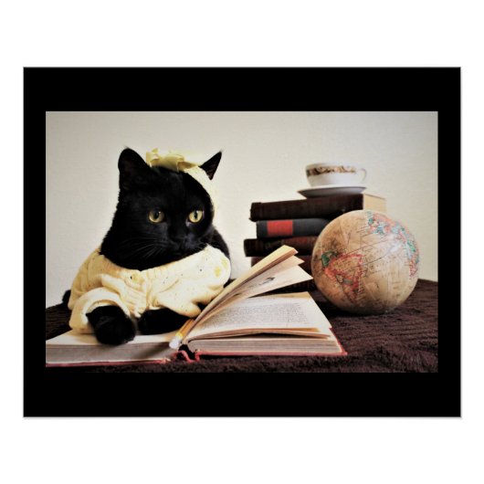 Studienzeit Poster (Vorderseite)