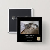 Studieren Button (Vorne & Hinten)