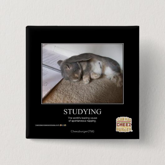 Studieren Button (Vorderseite)