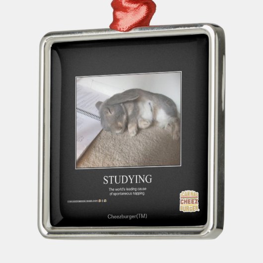 Studieren Silbernes Ornament (Links)