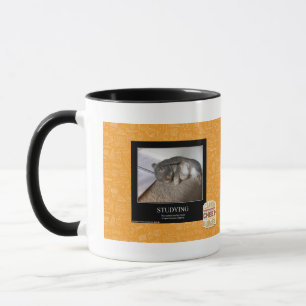 Studieren Tasse