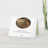 Studieren von Katzen-Lektionen Karte (Rückseite)