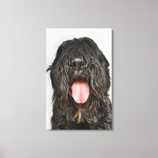 Studio-Aufnahme Leinwanddruck (Vorderseite)