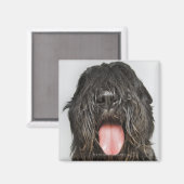 Studio-Aufnahme Magnet (Vorderseite/Rückseite)