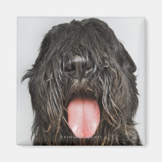 Studio-Aufnahme Magnet (Vorne)