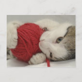 Studio-Aufnahme Postkarte (Vorderseite)