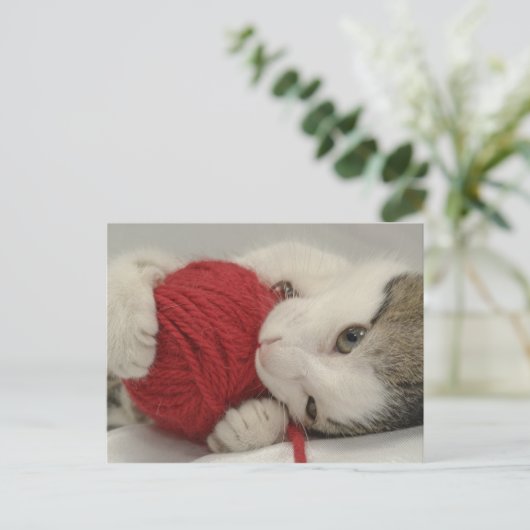 Studio-Aufnahme Postkarte (Stehend Vorderseite)