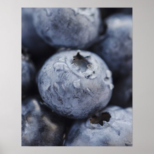 Studio-Aufnahme von Blaubeeren 2 Poster (Vorne)