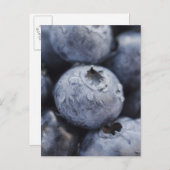 Studio-Aufnahme von Blaubeeren 2 Postkarte (Vorne/Hinten)