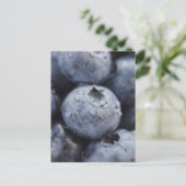 Studio-Aufnahme von Blaubeeren 2 Postkarte (Stehend Vorderseite)