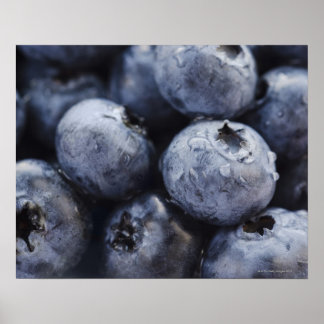 Studio-Aufnahme von Blaubeeren 3 Poster
