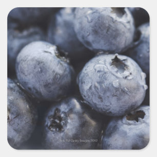 Studio-Aufnahme von Blaubeeren 3 Quadratischer Aufkleber