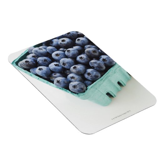 Studio-Aufnahme von Blaubeeren Magnet (Rechte Seite)