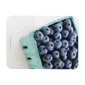 Studio-Aufnahme von Blaubeeren Magnet (Horizontal)