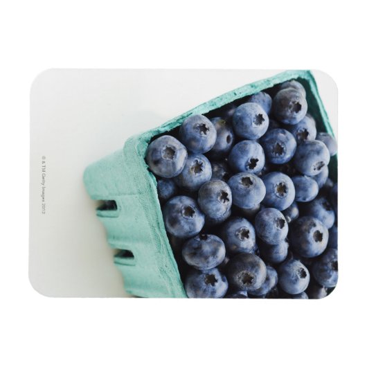 Studio-Aufnahme von Blaubeeren Magnet (Horizontal)