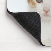 Studio-Aufnahme von Kätzchen Mousepad (Ecke)