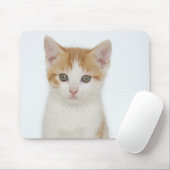 Studio-Aufnahme von Kätzchen Mousepad (Mit Mouse)