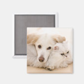 Studio-Aufnahme von Katze und Hund Magnet (Vorderseite/Rückseite)