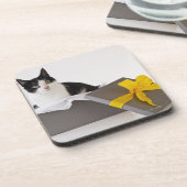Studio-Aufnahme von Schwarzweiß-Katze in Geschenkb Untersetzer (Linke Seite)