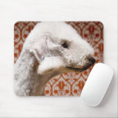 Studio-Foto von Bedlington Terrier Mousepad (Mit Mouse)