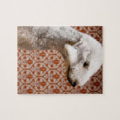 Studio-Foto von Bedlington Terrier Puzzle (Horizontal)
