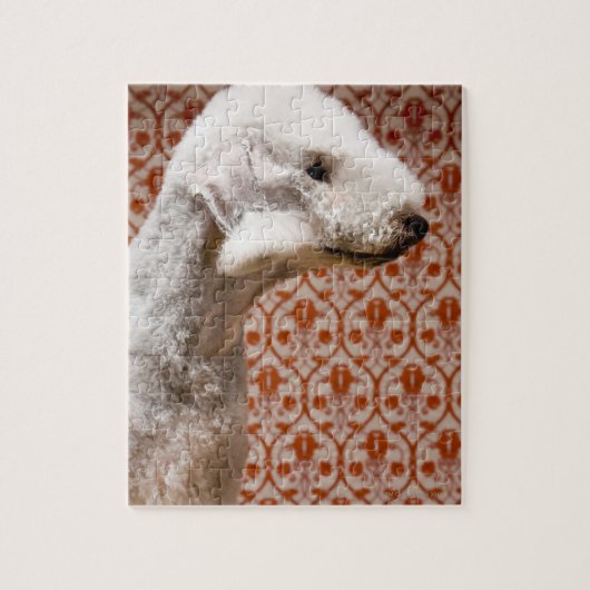 Studio-Foto von Bedlington Terrier Puzzle (Vertikal)