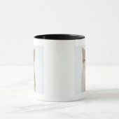 Studio geschossen vom Kätzchen Tasse (Zentrum)