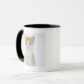 Studio geschossen vom Kätzchen Tasse (Vorderseite Links)