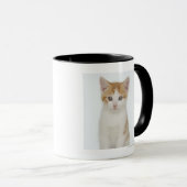 Studio geschossen vom Kätzchen Tasse (VorderseiteRechts)