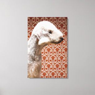Studio geschossen von Bedlington Terrier Leinwanddruck