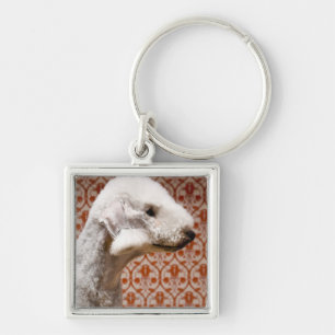 Studio geschossen von Bedlington Terrier Schlüsselanhänger