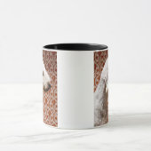 Studio geschossen von Bedlington Terrier Tasse (Zentrum)