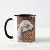 Studio geschossen von Bedlington Terrier Tasse (Links)