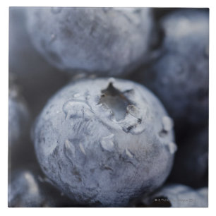 Studio geschossen von Blaubeeren 2 Fliese