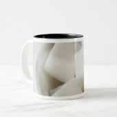 Studio geschossen von den Zuckerwürfeln in der Zweifarbige Tasse (Vorderseite Links)