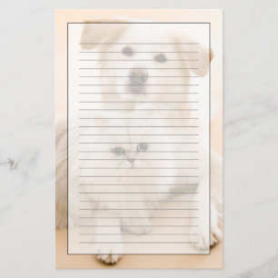 Studio geschossen von der Katze und vom Hund Briefpapier