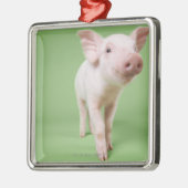 Studio herausgeschnitten von einem Ferkel stehend Ornament Aus Metall (Links)