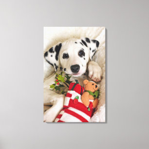 Studio Leinwanddruck