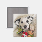 Studio Magnet (Vorderseite/Rückseite)