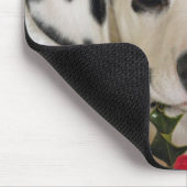 Studio Mousepad (Ecke)