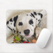 Studio Mousepad (Mit Mouse)