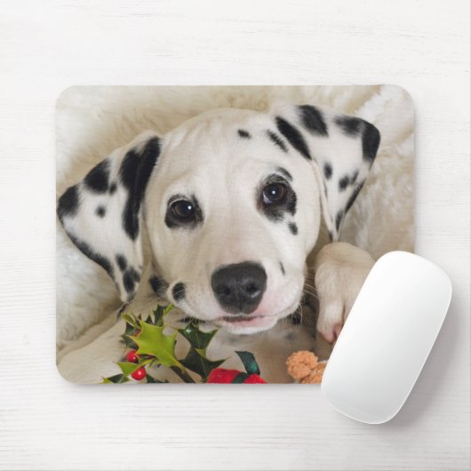 Studio Mousepad (Mit Mouse)