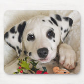 Studio Mousepad (Vorne)