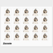 Studio-Portrait von Shih Tzu Quadratischer Aufkleber (Blatt)