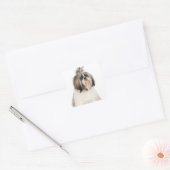 Studio-Portrait von Shih Tzu Quadratischer Aufkleber (Umschlag)