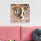 Studio-Porträt der Sphynx-Katze Leinwanddruck (Insitu (Wohnzimmer))