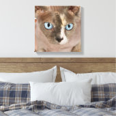 Studio-Porträt der Sphynx-Katze Leinwanddruck (Insitu (Schlafzimmer))