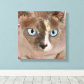 Studio-Porträt der Sphynx-Katze Leinwanddruck (Insitu (Holzboden))