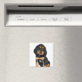 Studio-Porträt des Rottweiler-Welpen Magnet (In Situ (Geschirrspüler))