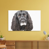 Studio-Porträt von Cocker spaniel Leinwanddruck (Insitu (Wohnzimmer))